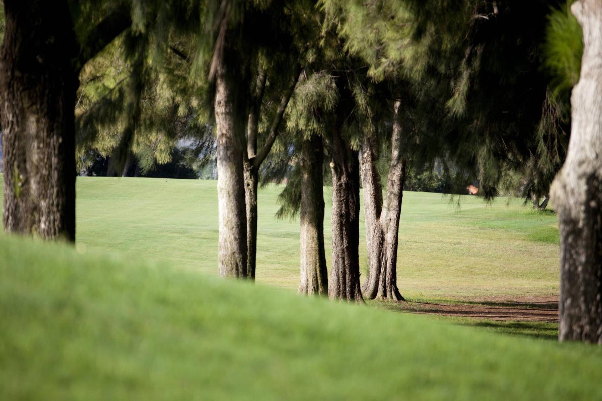 منتجع وسبا دينيا ماريوت لا سيلا جولف دينايا المظهر الخارجي الصورة The park